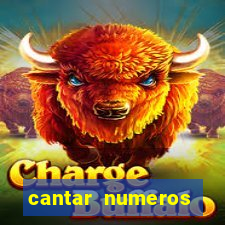 cantar numeros bingo online